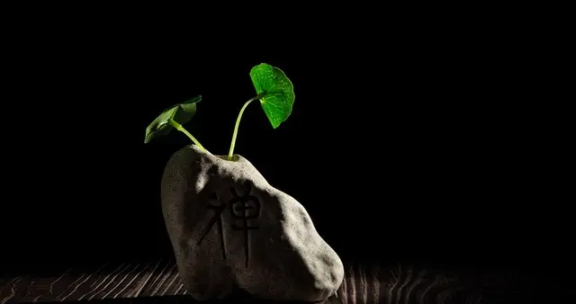 独处不是孤独，是与自己重逢！