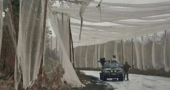 笑到尖叫：“台独”学乌军，要用鸟网防大陆无人机