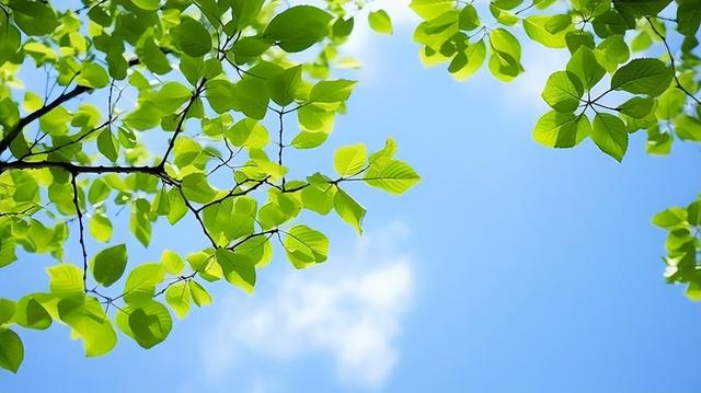 一个女人，出现这些下意识行为，其实就是喜欢上你了