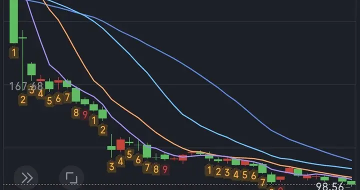 2个月股价从最高280元跌到99元。被套牢的股民还能回本吗？