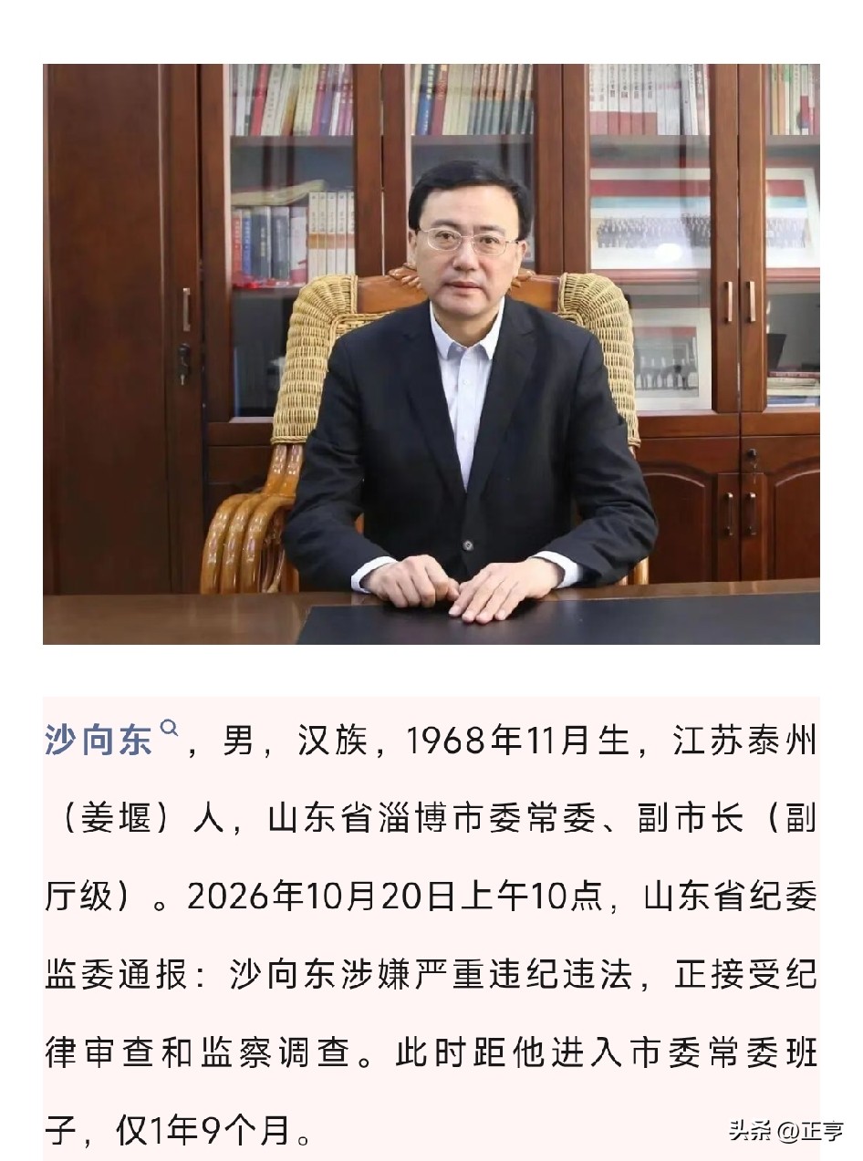 2026年10月20日，山东省纪委监委通报：淄博市委常委、副市长沙向东...