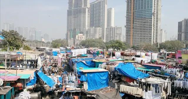 别再只看增速榜！想看懂手机市场，得学会OPPO的“稳”