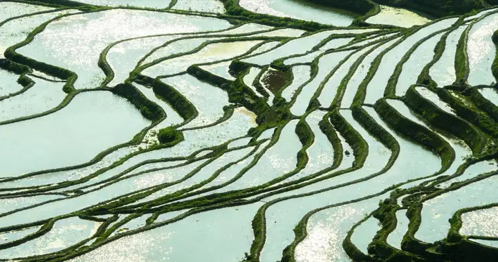 2名中国人澳洲深夜自驾遇难！