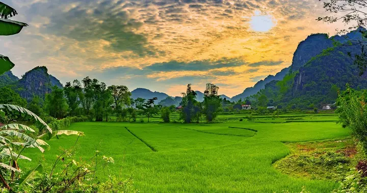 人啊，必须拥有4种自救的能力！