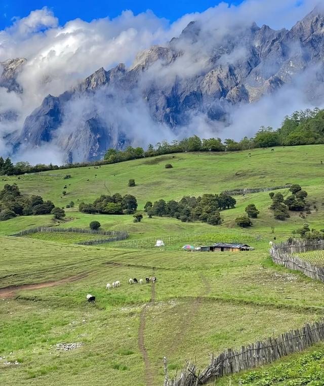 千湖山-老药山-格拉丹草原-罗古箐-剑川古城-石宝山6天深度游！