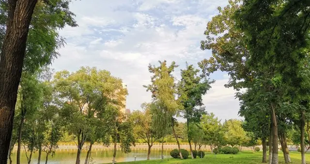 夏日里的甜蜜守护：香瓜与荔枝的健康密码