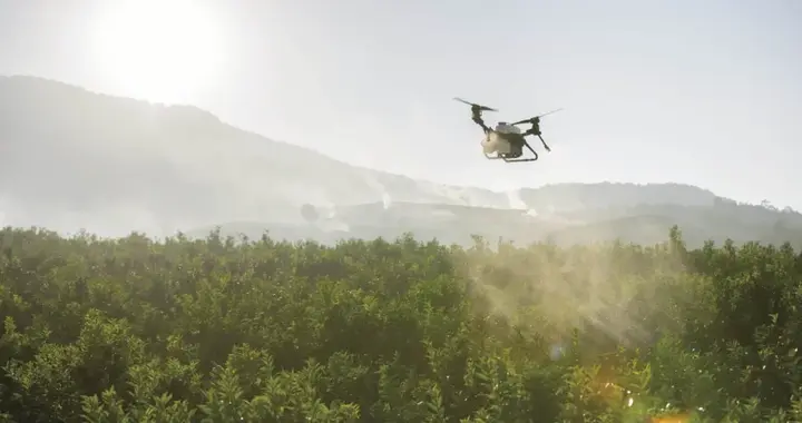 空中“货拉拉”首飞告捷