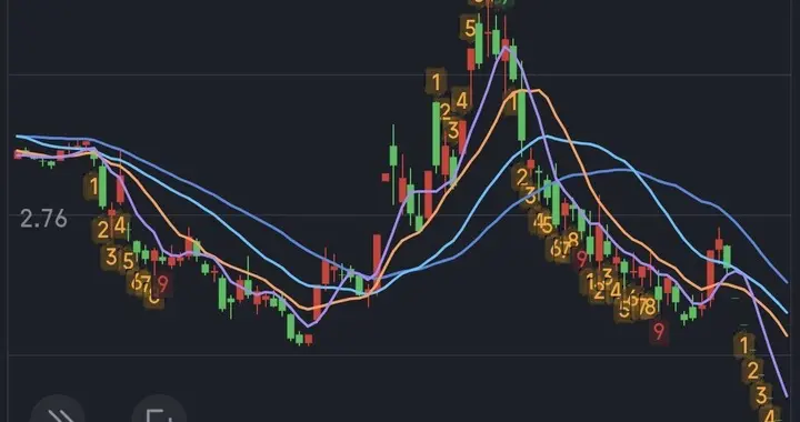 股价下跌10年，又5年财务造假，连续7个一字跌停。