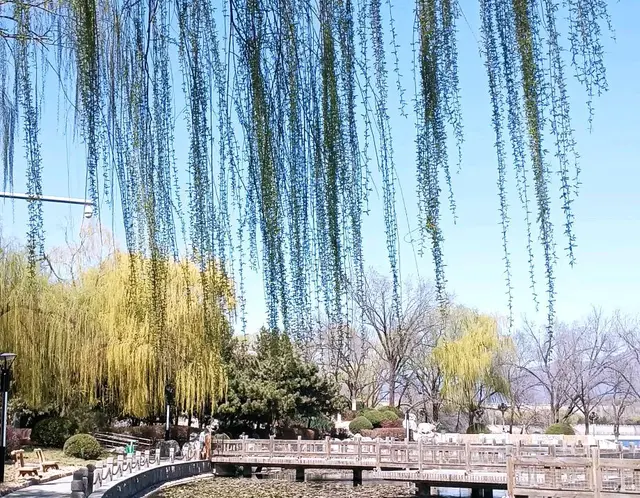 几十年不见，再次相聚，今非昔比，我是最尴尬的人