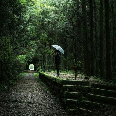 305567桂华：：林间听雨忘尘事