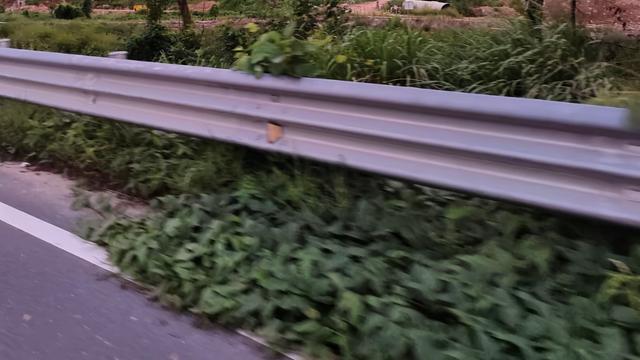蚂蚁妹妹：50岁以后，老年同学相聚，日子