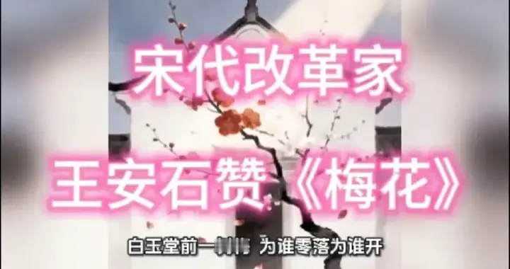 宋代改革家王安石赞《梅花》