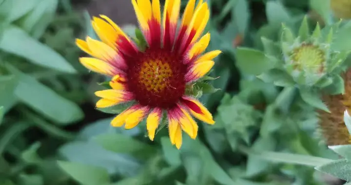 53岁读书写作第54天：80岁老爸的无奈，76岁老妈的崩溃