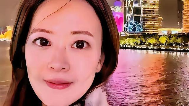 用中华利剑：随郑丽文来大陆访问的国民党代