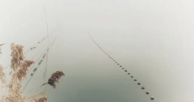 如果男女之间纯聊天关系：不约会不见面，大多撑不过这个期限