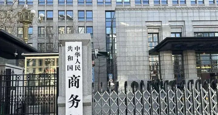 轮到中国出手！3国没少得罪咱，中方一道管制，直戳它们重要软肋