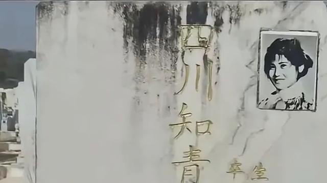 上进的光荣mv：忽然看到一位博主的视频