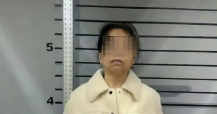 吴佩慈婆婆在美被捕：豪门风云再起，网友直呼“比电视剧还精彩”