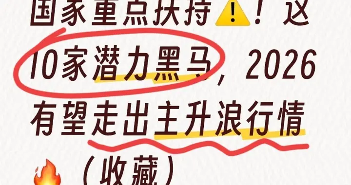 国家重点扶持！这10家潜力黑马，2026有望走出主升浪行情（收藏）