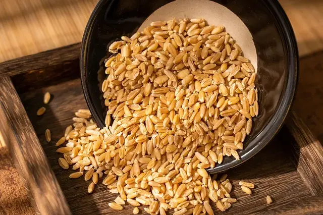 我重用2斤浮小麦浇灭心中烦躁，2 个月告别焦虑 不用再靠镇静药度日