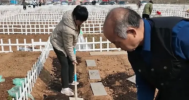 济南人集体种地上瘾！30㎡菜园抢疯了，躺平当农场主也太巴适了