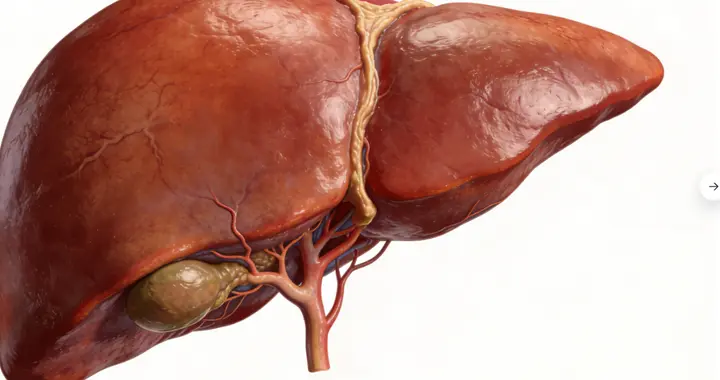手脚发抖、心慌不止？别忽视！可能是肝血不足发出的预警信号