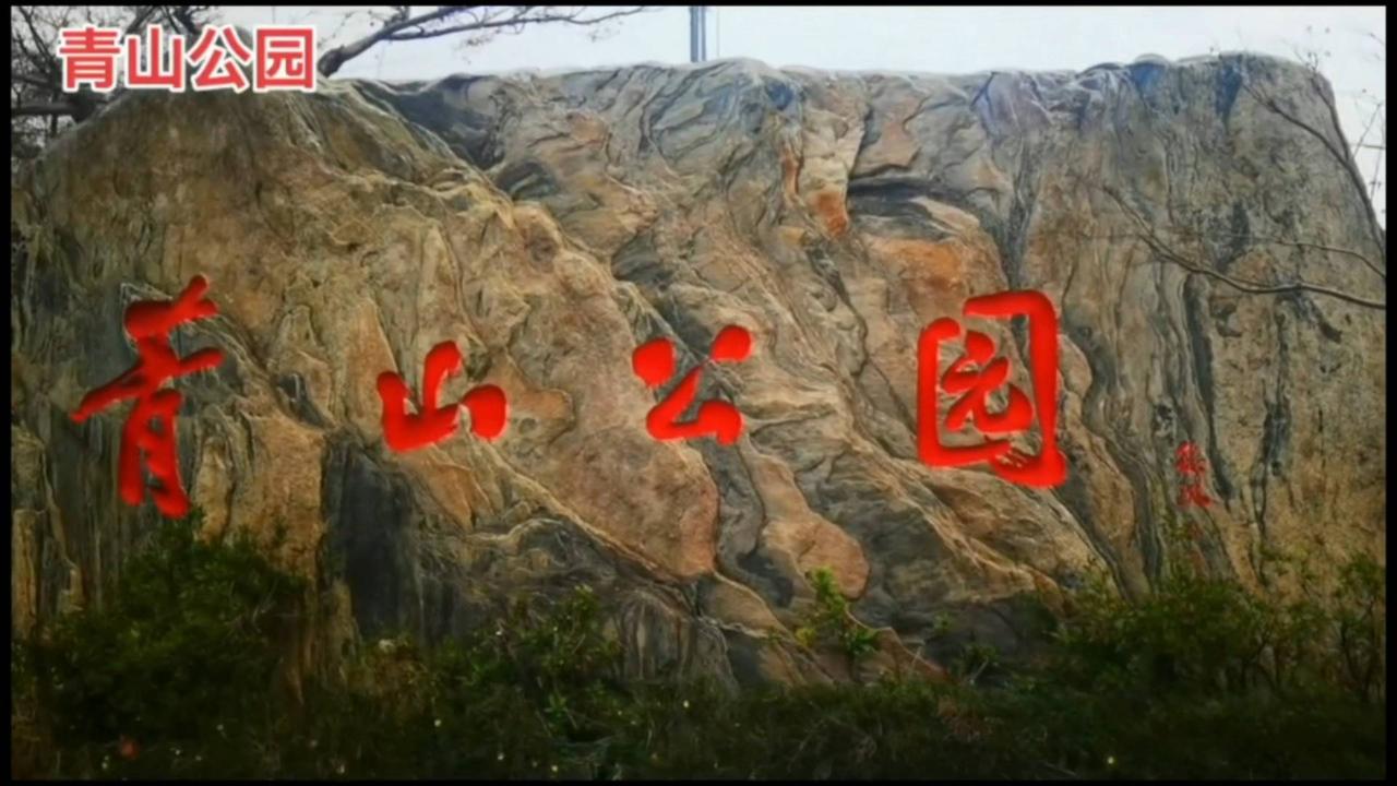 大汉口的人间烟火（第598集）：青山公园