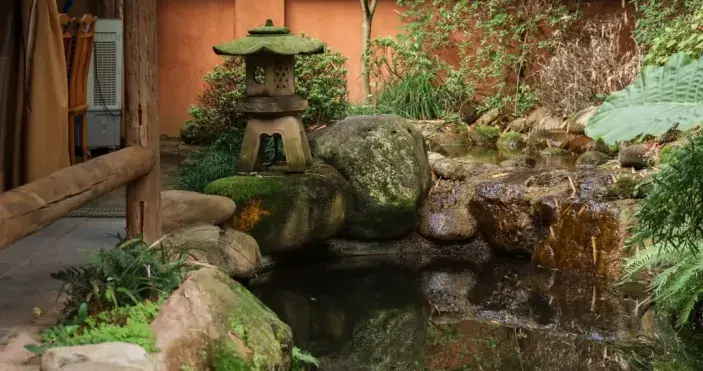 成都老饕严选！藏在东门的盐帮菜天花板！森林里聚会太巴适了！