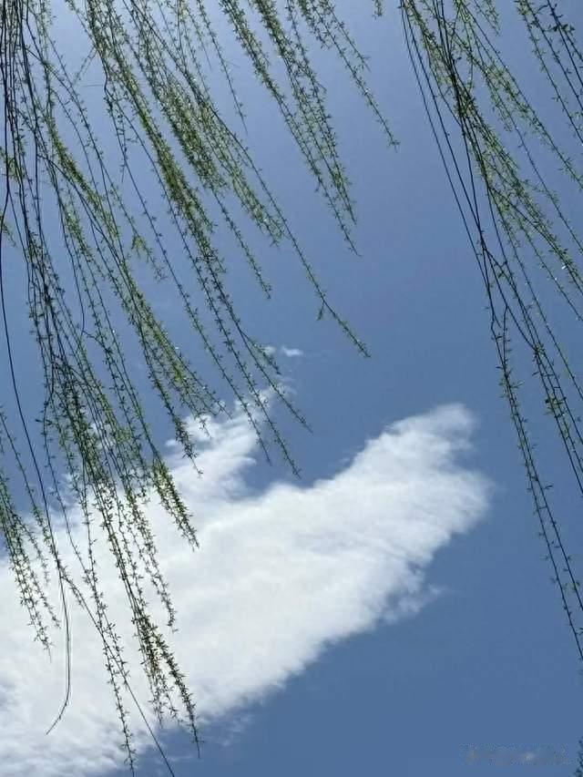 头脑一时发热犯的事，都是绕不过的宿命定数。