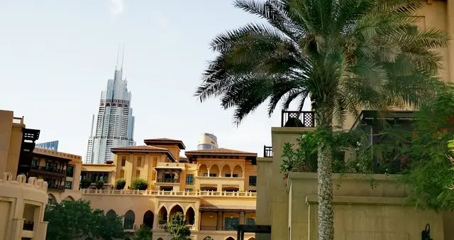 20岁迪拜富少爱上36岁湖南单亲妈妈：放弃亿万家产，只为娶她