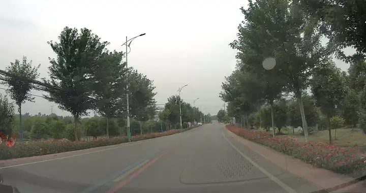一趟新洲之行，让我重新认识黄陂：我们输掉的不仅仅是一条路