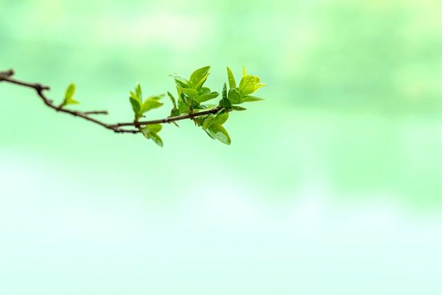 每天为你写首诗【第4407首】