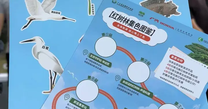 红树林成活率80%，广汽本田的智能化也在等一个成熟期