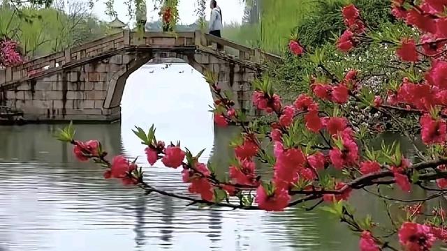 繁花看雨：风穿过新叶的缝隙，把细碎的暖意