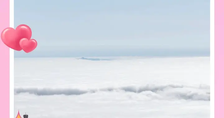 把民政局搬进景区！全国这些“甜蜜地标”火了，旅行+领证太浪漫