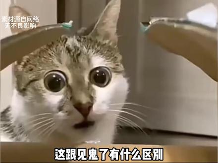 这要是八字弱的，看完直接享福去了