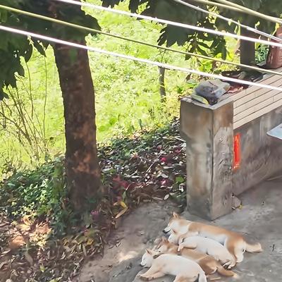 趣味娱乐吧：你们说，什么才是幸福呢？