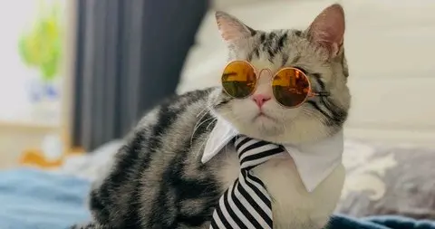 想搞霸业却只会画饼？晏子的“顶级HR课”，打醒了多少现代老板