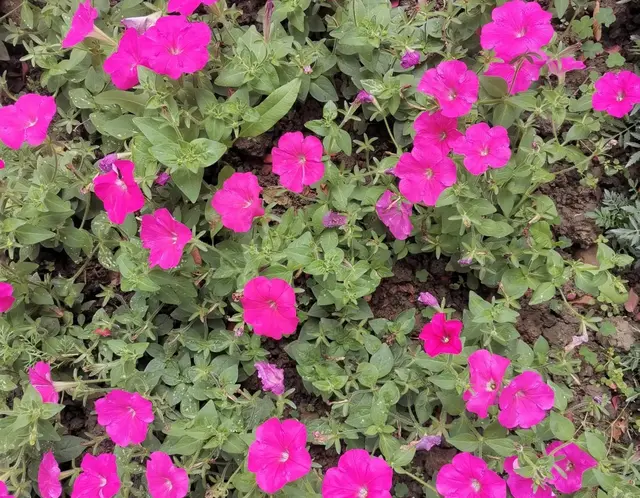 农村出身，一定得学会拼命攒钱，然后把握住机会“翻身”