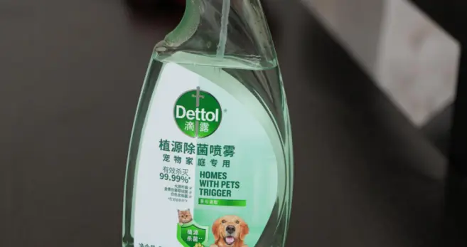 滴露宠物消毒液聚焦精细化养宠需求升级家庭消毒管理