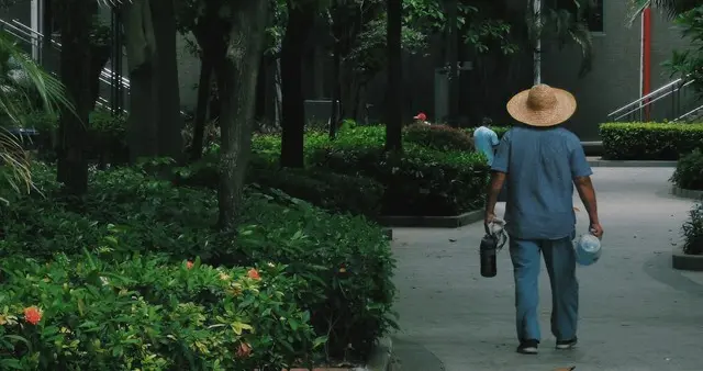 比子女靠谱，比请保姆便宜，比养老院自在，这种养老方式真好啊！