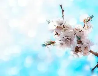 九八年母亲重病，同病房老人的一句话，让我感恩了一辈子