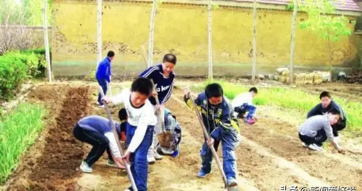 孩子要经历什么后，才能懂得学业的重要和父母的不易？