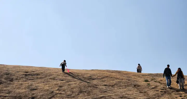 江苏寒潮暴击！22℃直降-4℃ 浓雾封高速+中雨大风齐袭