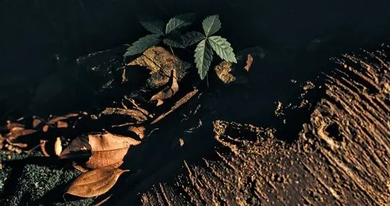 接纳自己，拥抱每一个全新的可能！