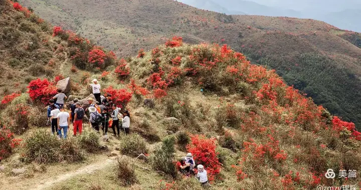 天露山上“拾荒人”