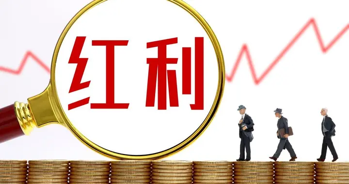 聊聊中证红利投资中的一些“配菜”