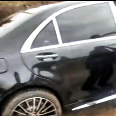 林中小憩听蝉鸣：辽宁惊现最奢华陪葬！网友