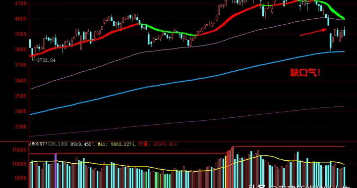 这个举措，有点意思