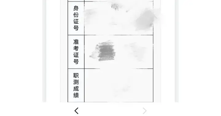 AI查成绩乌龙，打脸了谁？